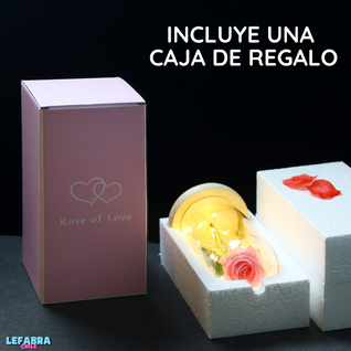 Rosa Eterna + Pilas y Cuadro de REGALO
