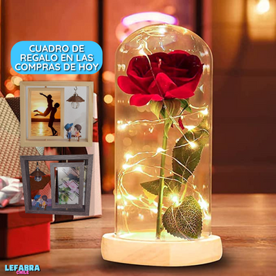 Rosa Eterna + Pilas y Cuadro de REGALO