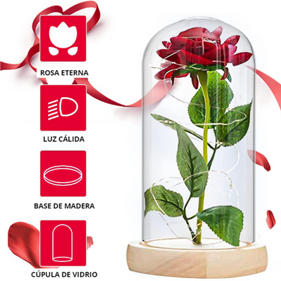 Rosa Eterna + Pilas y Cuadro de REGALO
