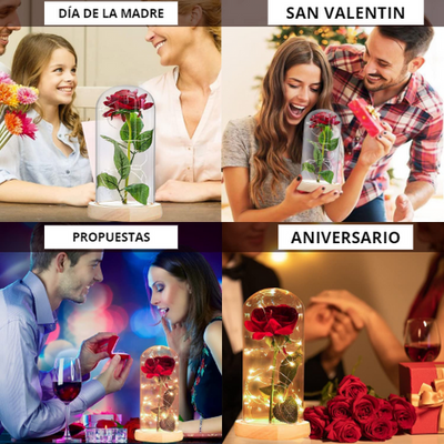 Rosa Eterna + Pilas y Cuadro de REGALO